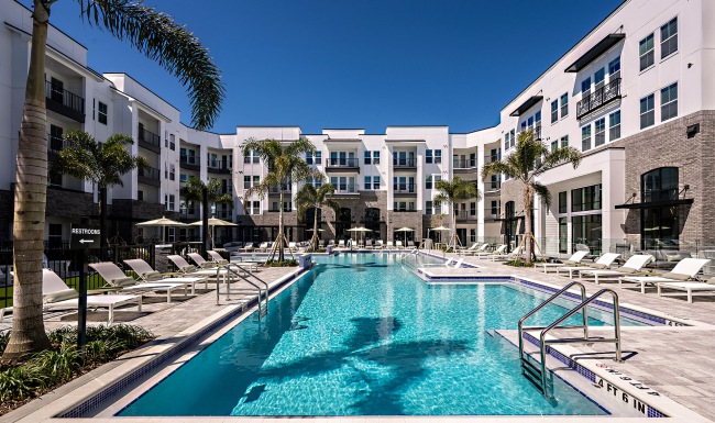 Swimming pool with palm trees and lounge chairs